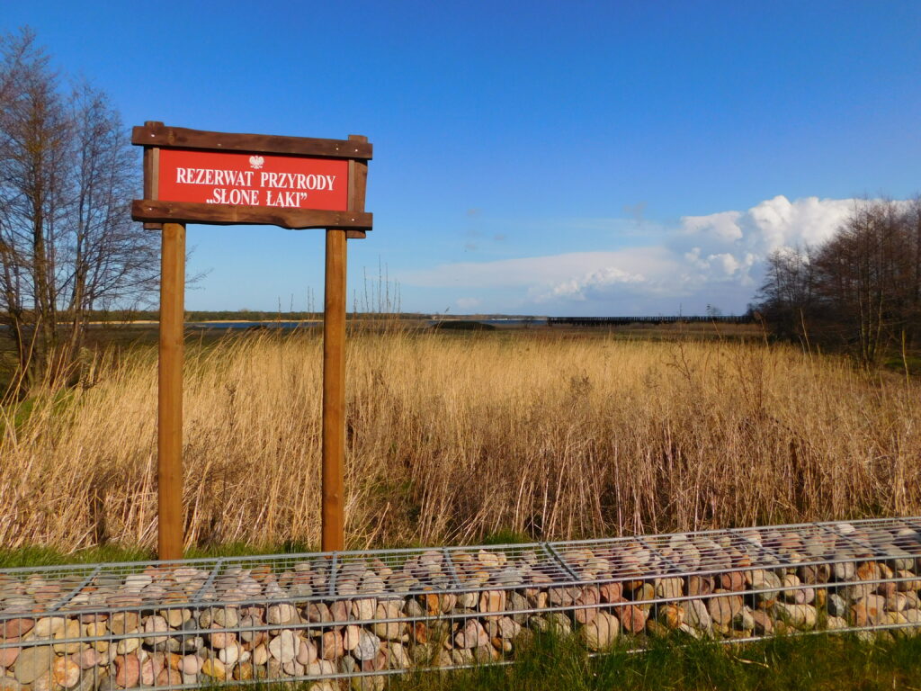 Słone Łąki - kładka edukacyjna